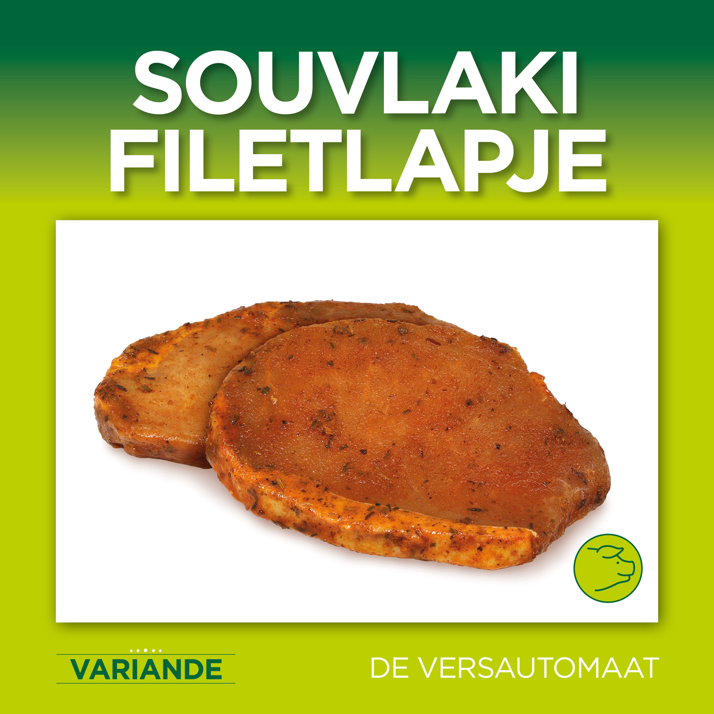 23-055 HOUBENSTEYN variande tegels13 souvlaki filetlapje