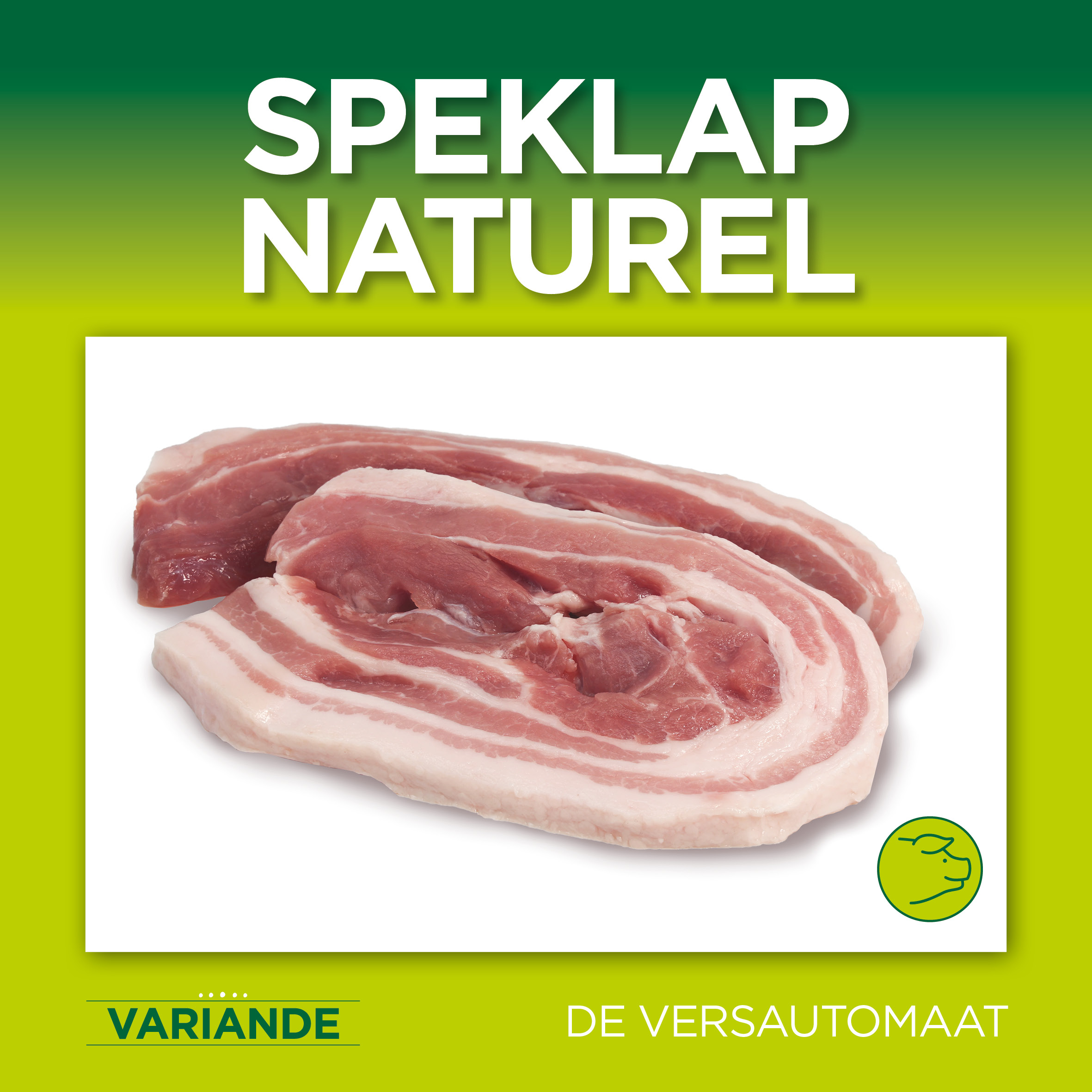 23-055 HOUBENSTEYN variande tegels4 speklap naturel