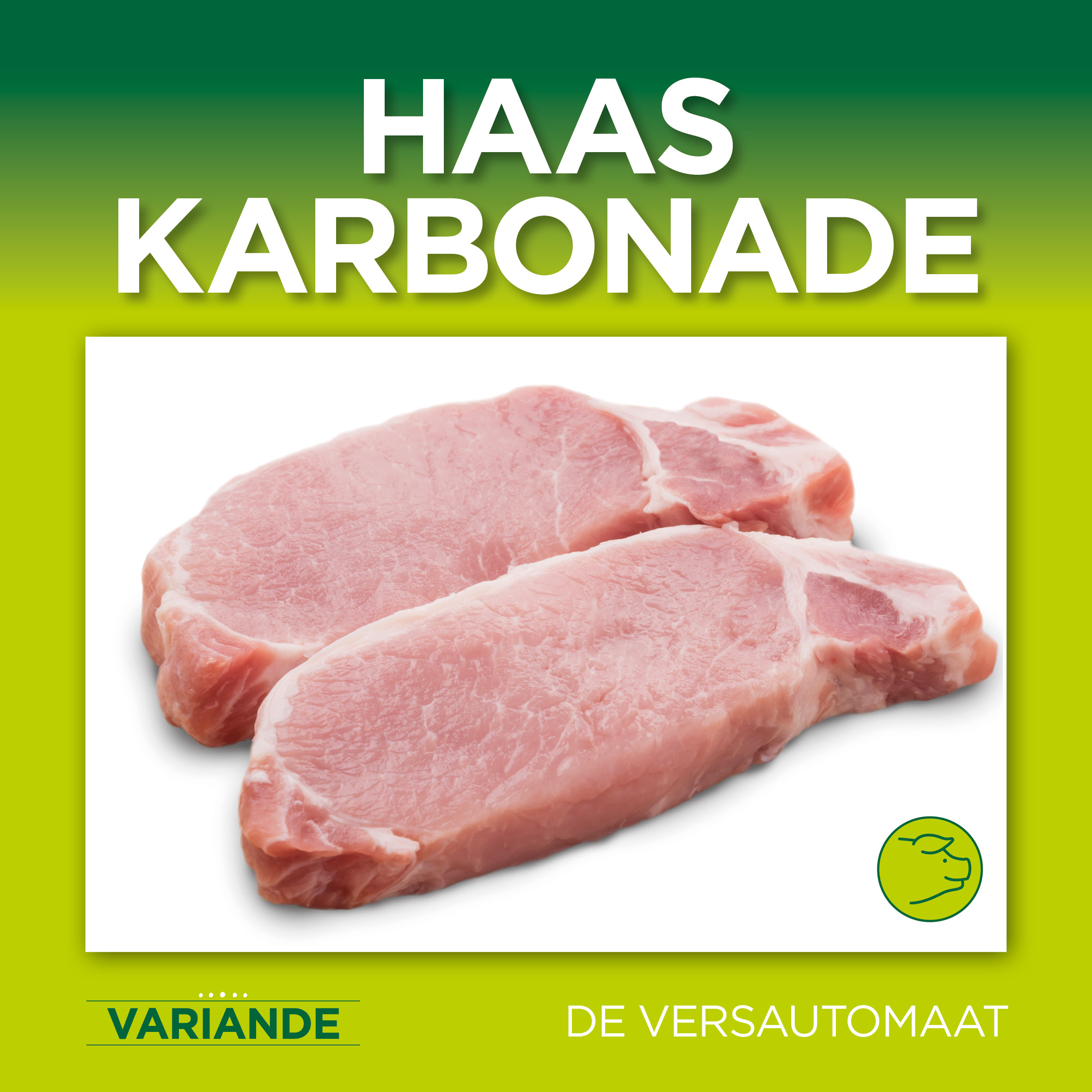 23-055 HOUBENSTEYN variande tegels28 haaskarbonade